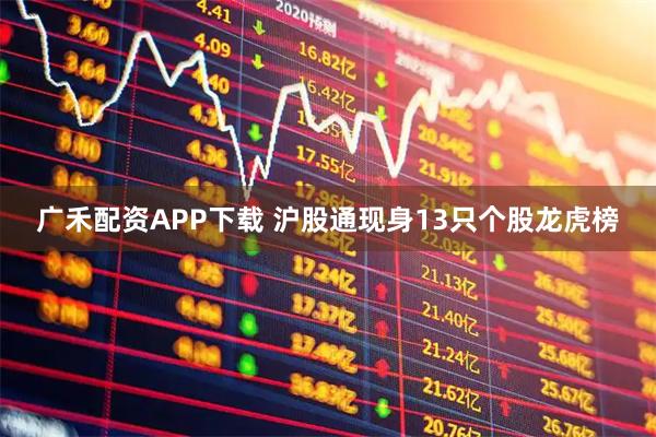 广禾配资APP下载 沪股通现身13只个股龙虎榜