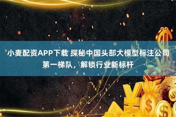 小麦配资APP下载 探秘中国头部大模型标注公司第一梯队，解锁行业新标杆
