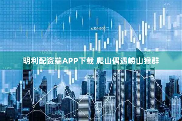 明利配资端APP下载 爬山偶遇崂山猴群