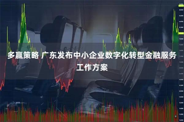多赢策略 广东发布中小企业数字化转型金融服务工作方案