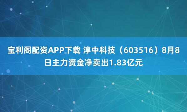 宝利阁配资APP下载 淳中科技（603516）8月8日主力资金净卖出1.83亿元