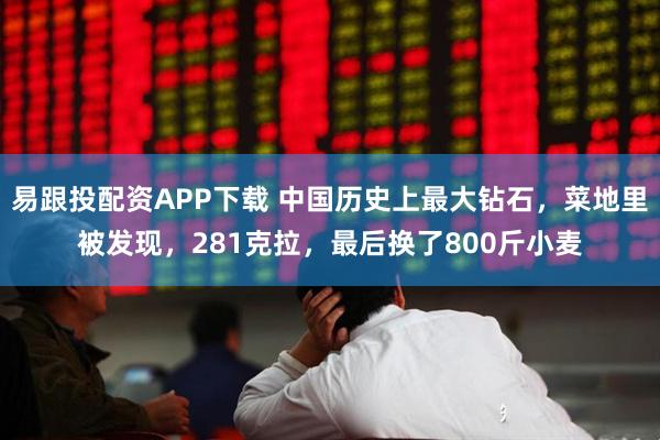 易跟投配资APP下载 中国历史上最大钻石，菜地里被发现，281克拉，最后换了800斤小麦